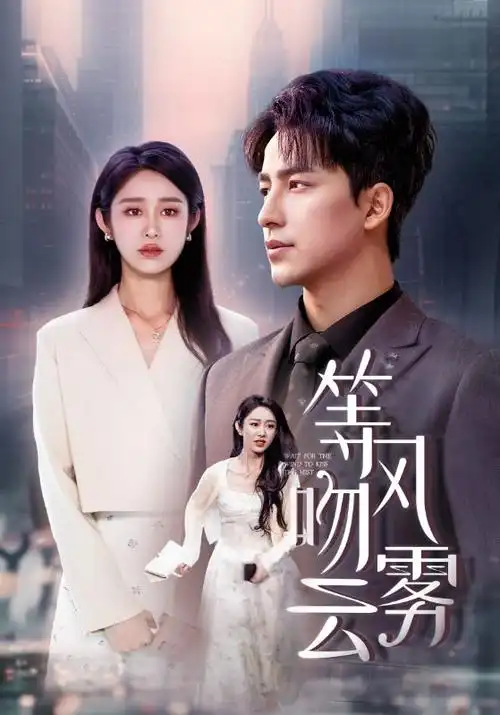 雾港迷局 热播电视剧全集在线观看